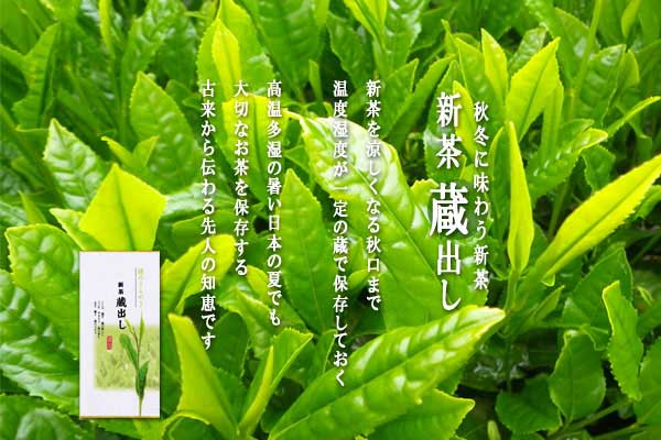 新茶蔵出し